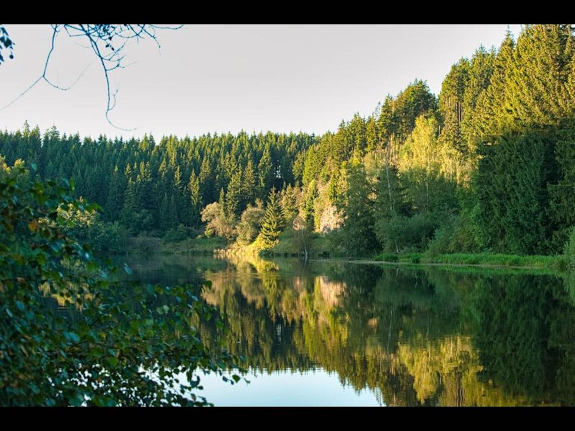 The House To Stay For Holidays Hasselfelde Exteriör bild